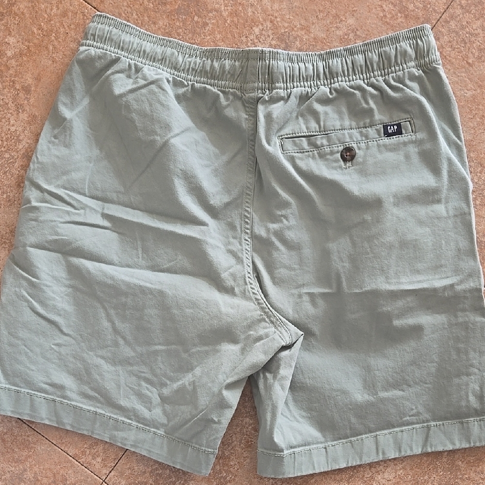 GAP Men's Olive Flat Front Shorts